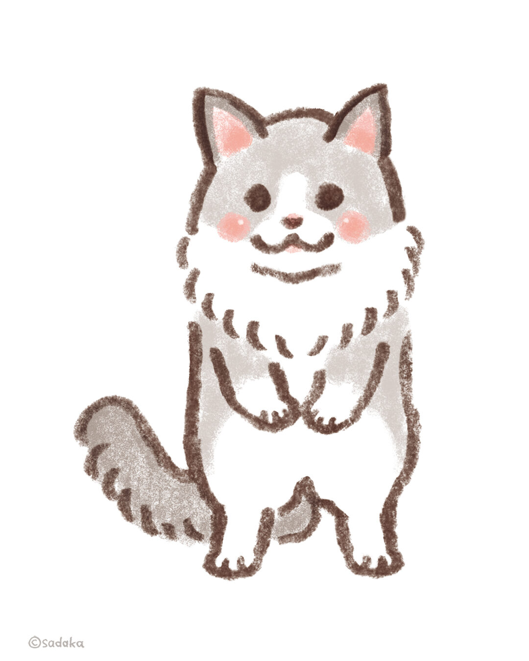 身近などうぶつ【3匹のねこ】ラグドール
