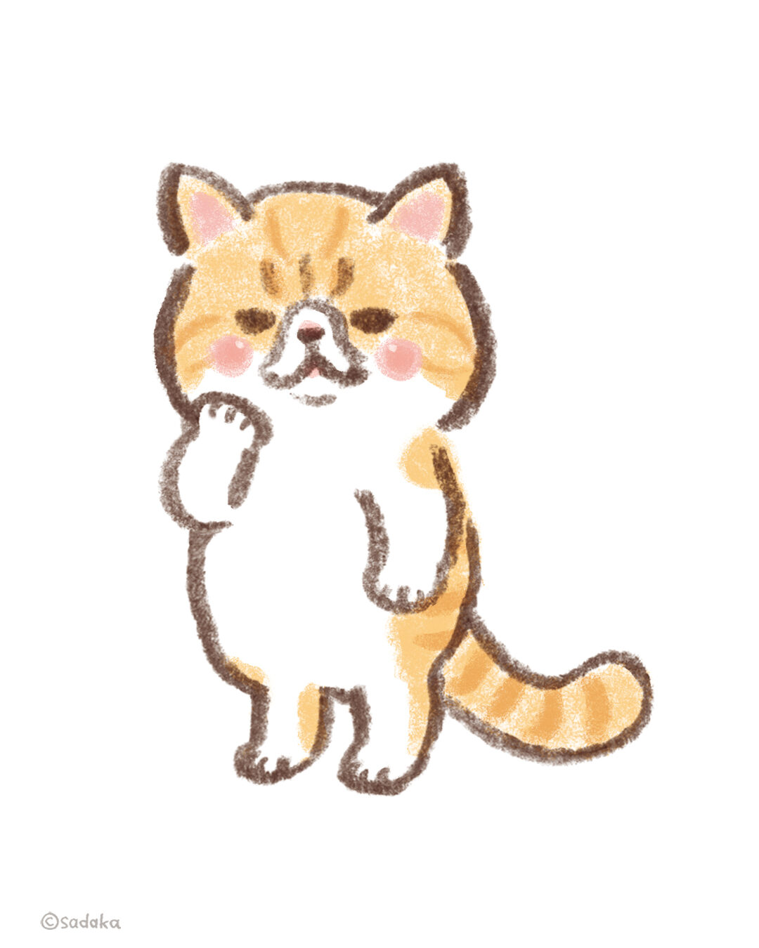 身近などうぶつ【3匹のねこ】エキゾチックショートヘア